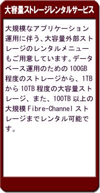 大容量ストレージレンタルサービス